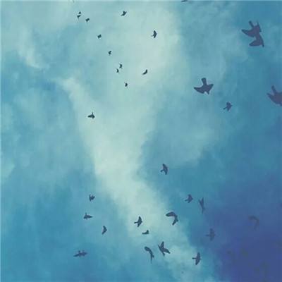 pg麻将胡了下载app下载