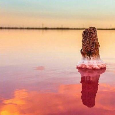 开云体云app下载手机版