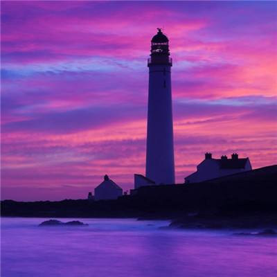 尊龙手机版下载截图