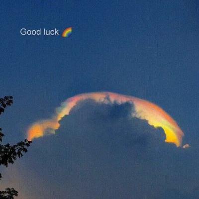 fb体育官方网站入口截图