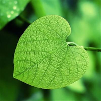 球王会官网注册